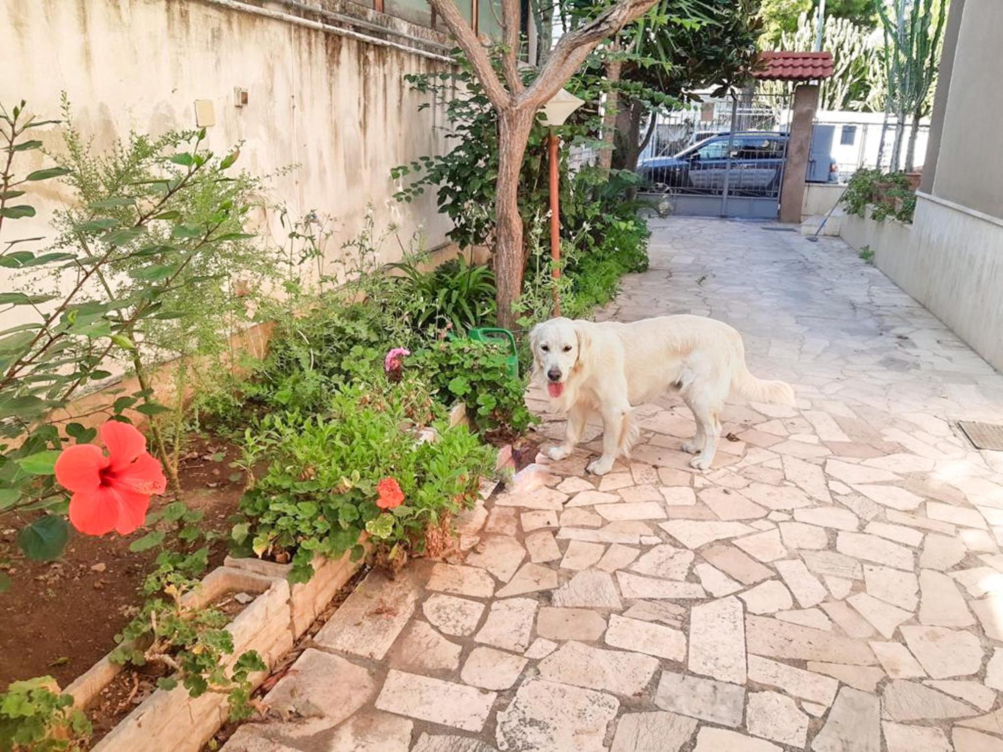 Villa Magnolia Con Giardino Bari Kültér fotó